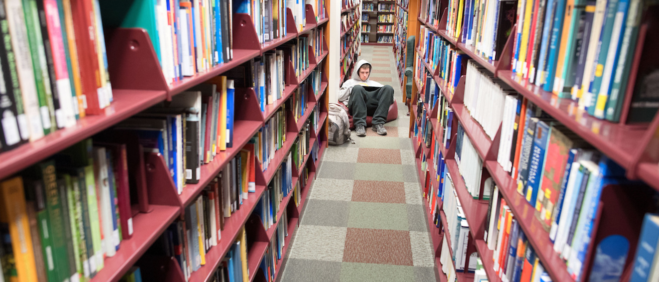 A student studies in the library